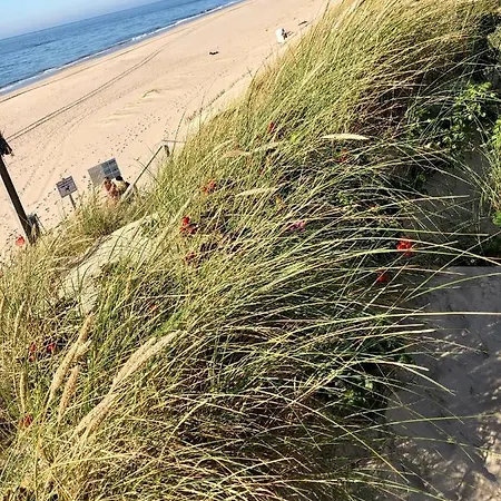 Sylt-kampen Traumhaus Διαμέρισμα *