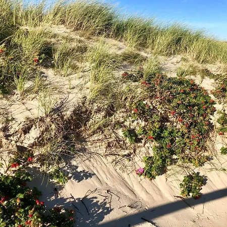 Sylt-kampen Traumhaus *